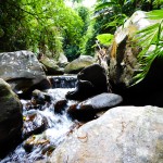 Co_tu_jungle_trekking (32)